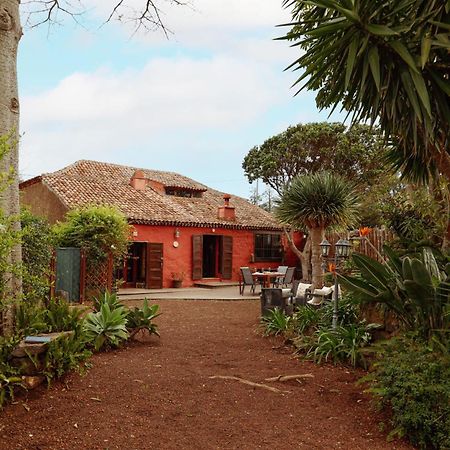 Hostal Casa Begonia Tacoronte Exterior foto