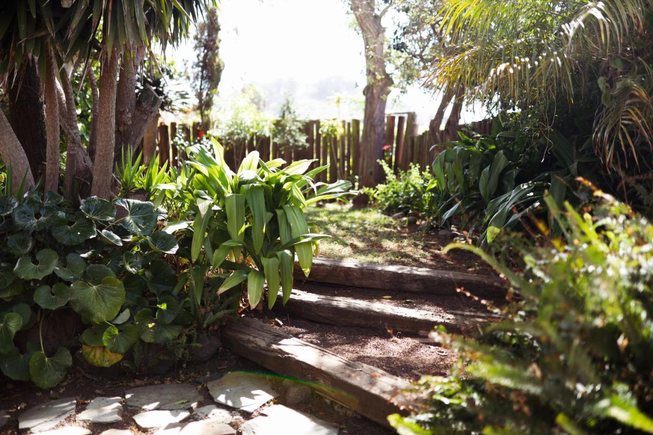 Hostal Casa Begonia Tacoronte Exterior foto